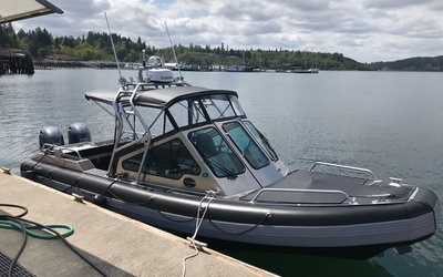 Life Proof 25 Runabout