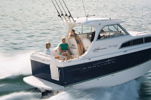 Bayliner 266 Discovery