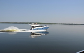Sealine F46