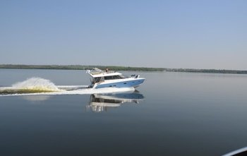 Sealine F46