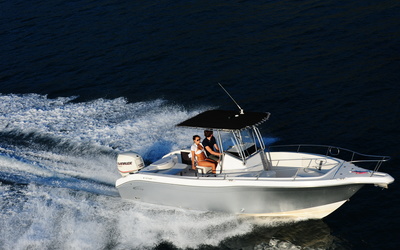 Fishing Raptor 265 CC