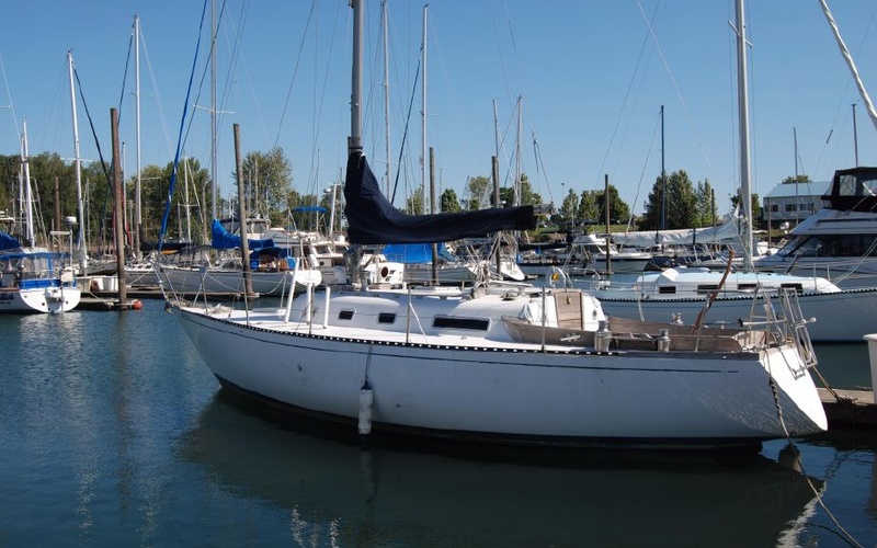 carter 33 sailboat review