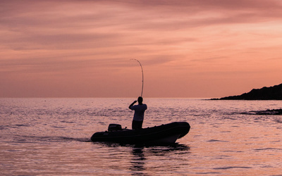 Brig Falcon 450