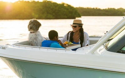 Boston Whaler 240 Vantage