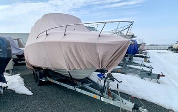 Sea Ray 215 (2007)