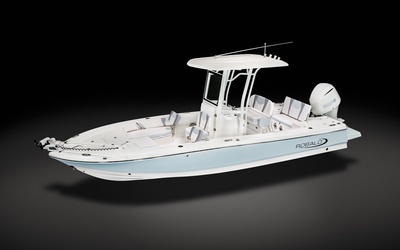 Robalo 246 Cayman
