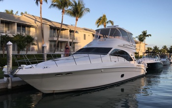 Sea Ray 47 Sedan Bridge (2008)