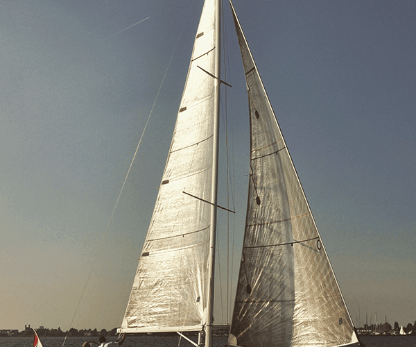 Essence 33