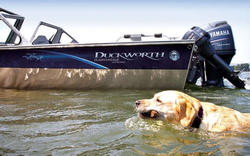 Duckworth 16 Advantage Outboard