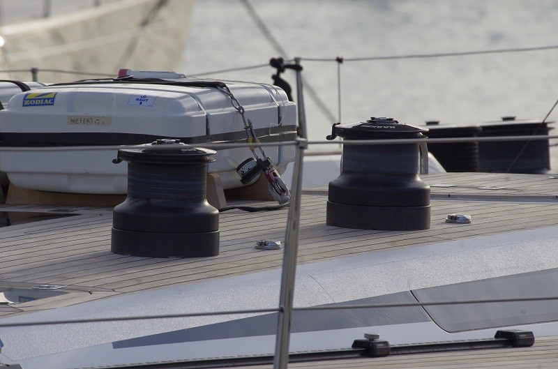 Swans on the Swan Deck