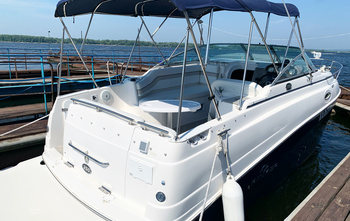Rinker Fiesta Vee 250