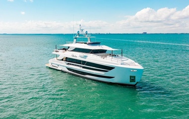 Horizon Crowned Eagle