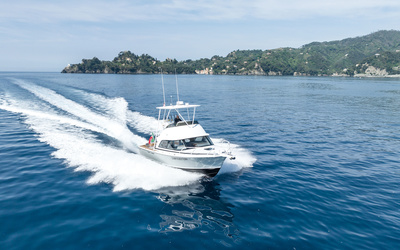 Bertram 35 Flybridge