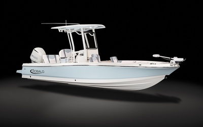 Robalo 246 Cayman