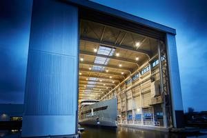 Of the feline breed.