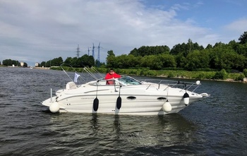 Crownline 250 CR