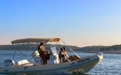 Tiger Marine ProLine 550