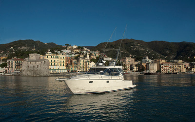 Portofino 11 Fisherman