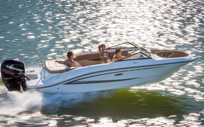 Sea Ray SPX 210 OB
