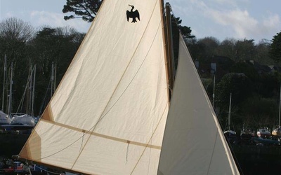 Cornish Crabbers Cormorat 12