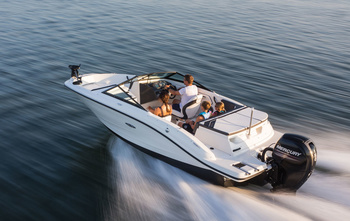Sea Ray SPX 190 OB (2021)