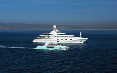 Royal Denship PEGASUS VIII