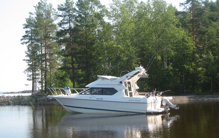 Bayliner 266 Discovery (2005)