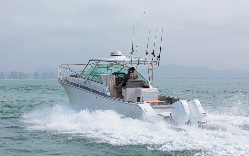 Sedna  XF 320