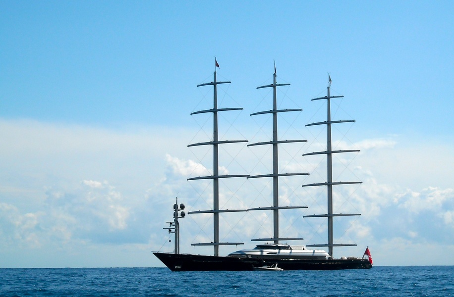 Maltese Falcon