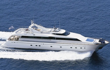 Falcon Absolute King