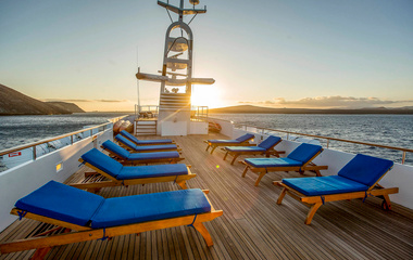 Anastassiades & Tsortanides Passion