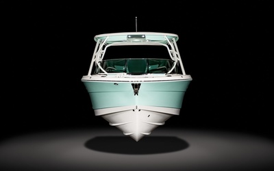 Robalo R317