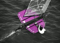 Johnny Goldsbury's purple moth. A picture of Waterlust.
