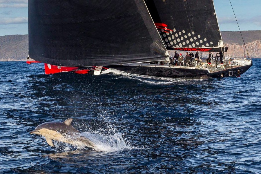 Comanche is approaching the finish line