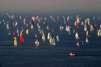 What are the results of the regattas? 