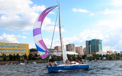 Spray Рикошет 930