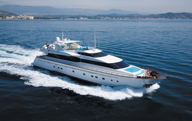 Falcon Absolute King