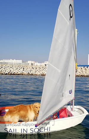 Main &laquo;Optimist&raquo; Sochi