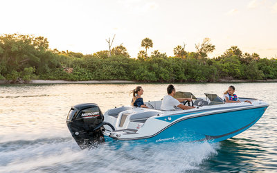 Bayliner Element M17