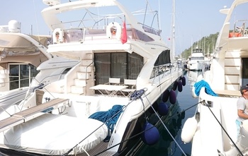 Princess 54