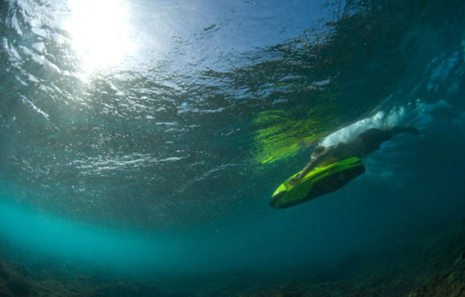 SeaBob