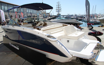 Cobalt R7