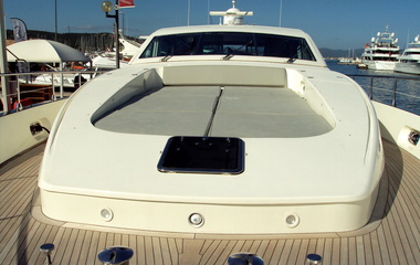 Leopard Princess Ayesha I