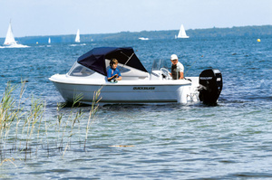 Quicksilver Fish 500