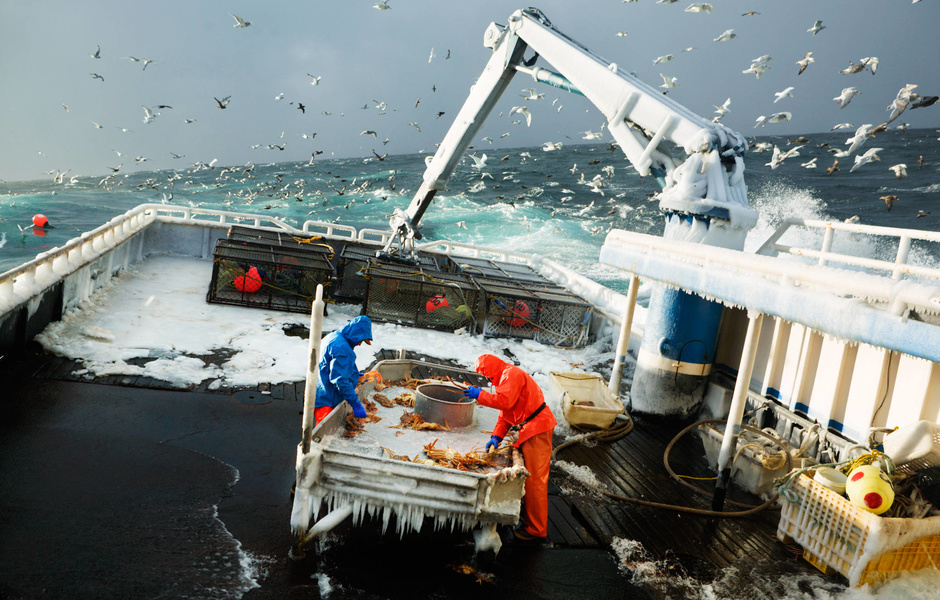 Серия: Fish-work The Bering Sea. Фото: Corey Arnold