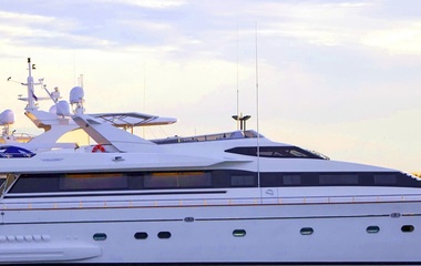 Falcon Venus Vistoria