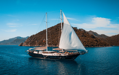 Tolga Bulucu Nevra Queen