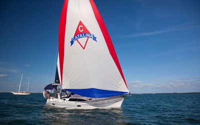 Catalina 315