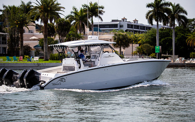 Renaissance Prowler 36