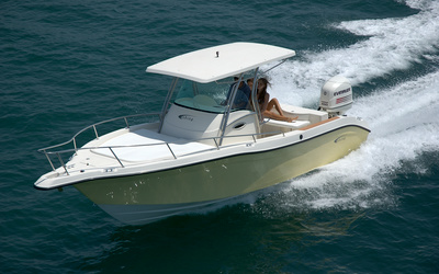 Fishing Raptor 265 Saint Tropez